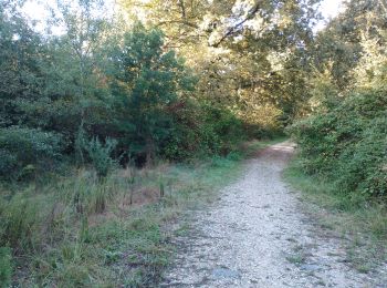 Trail Walking Canéjan - clés du jardin  - Photo