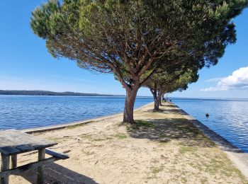 Tocht Mountainbike Carcans - Entre lac et océan.  - Photo