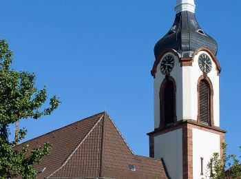 Tour Zu Fuß Weinheim - Rundwanderweg Am Bischof 6: Kalter Hergotts-Weg - Photo