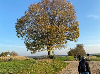 Tour Wandern Huldenberg - Loombeek Lefdaal  - Photo