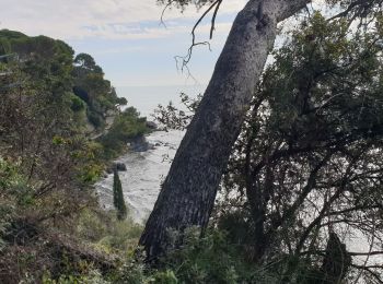 Excursión Senderismo Tolón - Tour royale à Monaco 13 Novembre 2021 - Photo