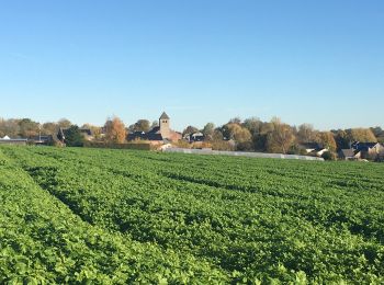 Percorso Marcia Gembloux - Mazy - Golzinne - Mazy - Photo