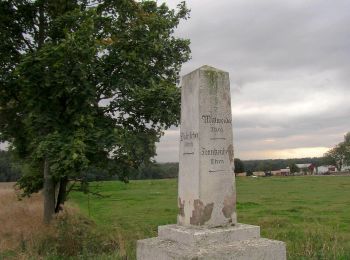 Tocht Te voet Mittweida - Bürgerwaldrundweg - Photo