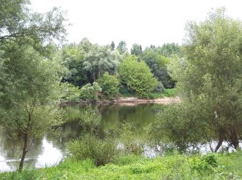 Tocht Stappen Beaumont-en-Véron - Beaumont en véron - Photo