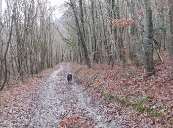 Tocht Stappen Piégros-la-Clastre - le collet en hiver - Photo