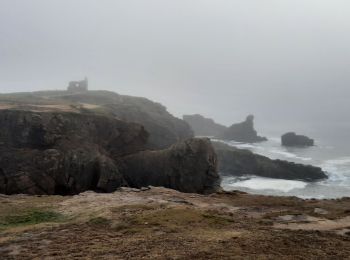 Trail Walking Saint-Pierre-Quiberon - PR_56_St-Pierre-Quiberon_AA_01_Circuit1b_Kerhostin-Portivy-Cote-Sauvage_20220128 - Photo
