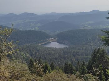 Tour Wandern Urbeis - Col du Calvaire ➡️ Lac Blanc  - Photo