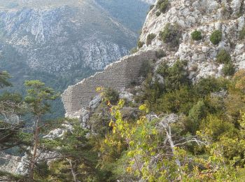 Excursión Senderismo La Bastide - La Bastide-Lachens - Photo