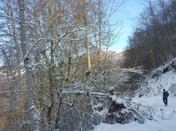 Trail Walking Arrien-en-Bethmale - les granges de la Serre en boucle - Photo