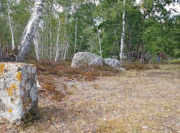 Excursión Senderismo Fère-en-Tardenois - Fère en Tardenois par le bois de Saponay - Photo