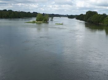 Percorso Marcia Muides-sur-Loire - muides 2019 - Photo