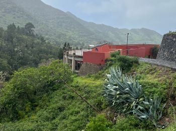 Randonnée Marche Buenavista del Norte - PR TF59 Mirador Cruz de Hilda -Masca  - Photo