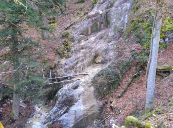 Tocht Stappen Arbent - Marchon PT vue lac de Viry  - Photo