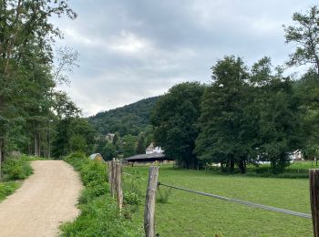 Trail Walking Munster - Munster Gunsbach - Photo