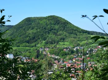 Tocht Te voet Heubach - Heubach Wanderweg 5 