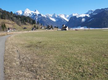 Tour Zu Fuß Unteriberg - Unteriberg-Stöcken - Minsterbrücke - Photo