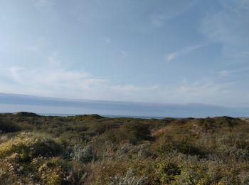 Tour Wandern Leffrinckoucke - Dune leffrinckoucke - Photo