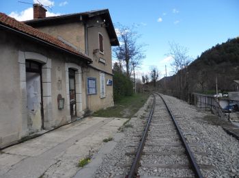 Randonnée A pied Annot - Le Grès d'Annot - Photo