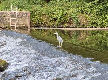 Percorso Marcia Bourscheid - Escapardenne Lee Trail: Moulin de Bourscheid - Hoscheid - Photo