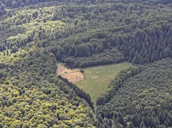 Tour Zu Fuß Kalbach - Kalbach Wanderweg Sparhof 3 - Photo