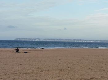 Randonnée Marche Trouville-sur-Mer - trouvaille Deauville  - Photo