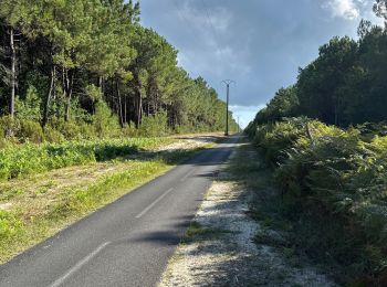 Excursión sport Vendays-Montalivet - VTT - Photo