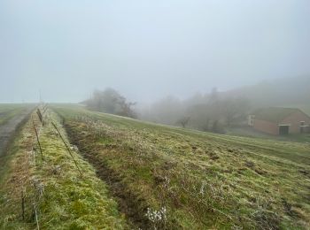 Trail Walking Cerfontaine - Eau d’heure  Hiver  - Photo