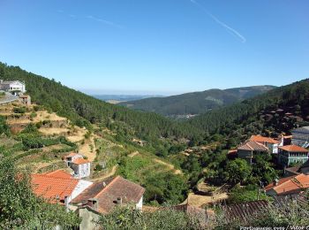 Tocht Te voet Benfeita - Caminho do Xisto de Benfeita - Photo