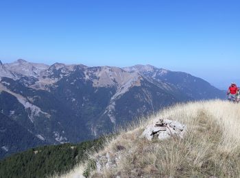 Tocht Stappen Méolans-Revel - Sommet du pinet - Photo