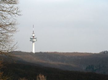 Trail On foot Unknown - Sophienalpe - Scheiblingstein - Photo