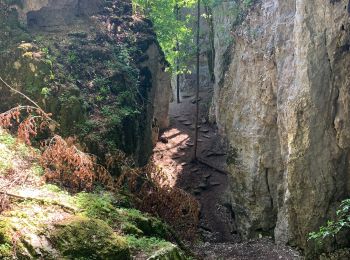 Randonnée Marche Ferrette - Ferrette château et grotte des nains - Photo