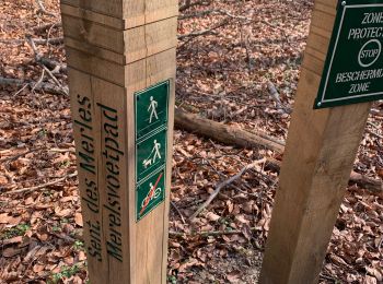 Trail Walking Auderghem - Oudergem - Vallon 3 fontaines BIEN - Photo