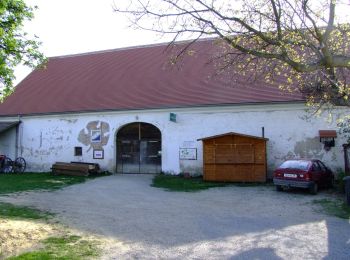 Percorso A piedi Gemeinde Mistelbach - Rundwanderweg Gartenfeld/Rustenfeld - Photo