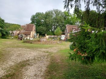 Tour Wandern Villeneuve-sur-Yonne - Villeneuve sur Yonne 240816 - Photo