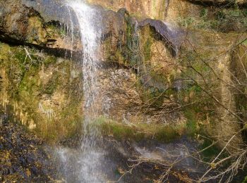 Trail Walking Saint-Hymetière-sur-Valouse - Au fil de la Valouze  - Photo