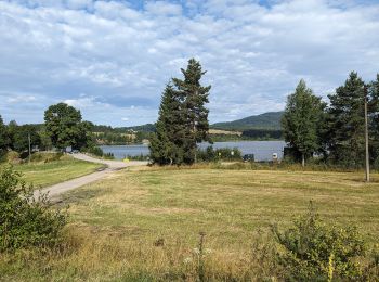 Tour Zu Fuß Stein im Böhmerwald - NS Olšina - Photo