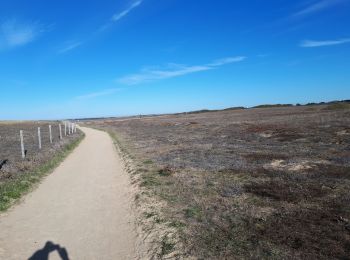 Excursión Bici de carretera Erdeven - Erdeven - Etel  - Photo