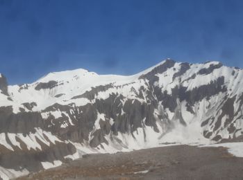 Trail Touring skiing Finhaut - pointe de la terrasse  - Photo