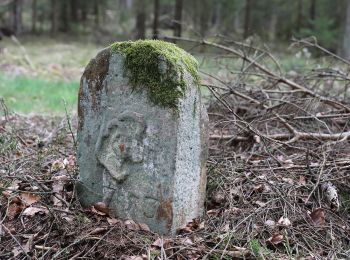 Percorso A piedi Mitwitz - Bächleiner Weg - Photo