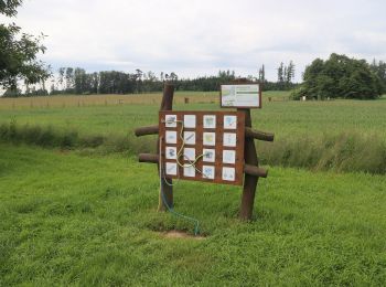 Excursión A pie Jemnice - Pohádková stezka - Photo