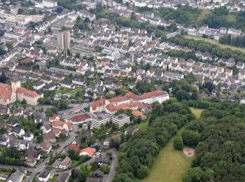 Excursión A pie Arnsberg - Balken Dammbergpfad - Photo