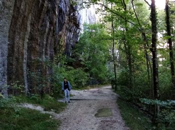 Tocht Stappen Seyssinet-Pariset - Désert Jean Jacques Rousseau - Photo