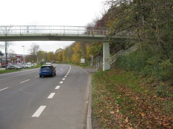 Tocht Te voet Baunatal - Baunatal-Altenritte, Rundweg 2 - Photo