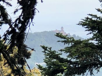 Randonnée Marche Thannenkirch - Thannenkirch-Taennchel-Melkerhof - Photo