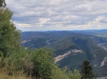 Tour Wandern Saint-Martin-du-Frêne - chamoise les monts d'ain - Photo