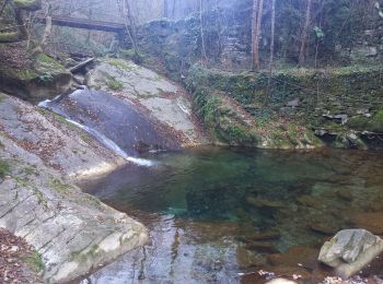 Tour Wandern Dolcedo - Laghetti di Lecchiore 27.12.24  - Photo