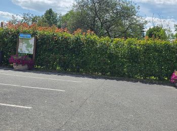 Percorso Marcia Valloire-sur-Cisse - Seillac - Circuit des Bois - Photo