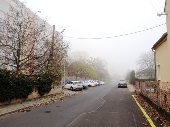 Percorso A piedi Štětí - NS Loupežníka Štětky - Photo