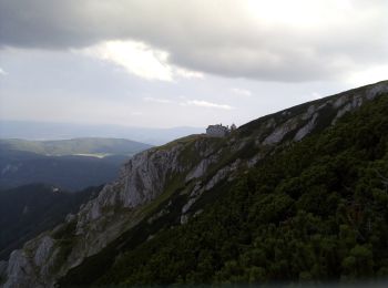 Tour Zu Fuß Gemeinde Puchberg am Schneeberg - Schneebergdörfl - Herminensteig - Damböckhaus - Photo