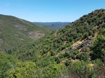 Randonnée Marche Les Plantiers - coeur des cevennes - Photo